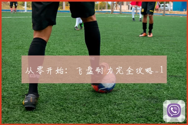 从零开始：飞盘耐力完全攻略_1