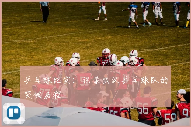 乒乓球纪实：记录武汉乒乓球队的突破历程