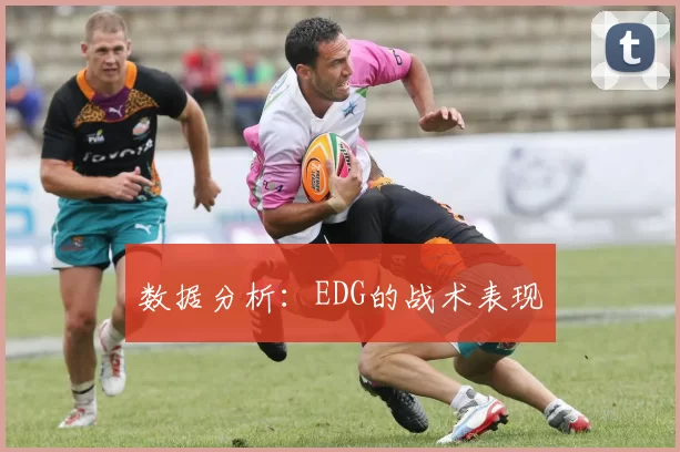 数据分析：EDG的战术表现