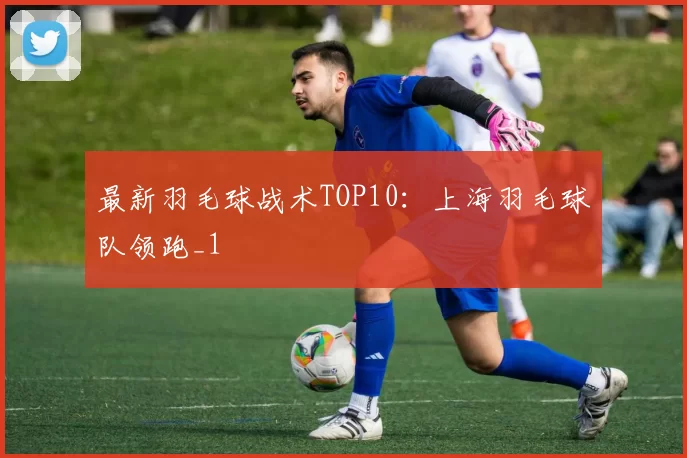 最新羽毛球战术TOP10：上海羽毛球队领跑_1