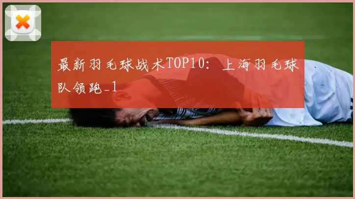 最新羽毛球战术TOP10：上海羽毛球队领跑_1